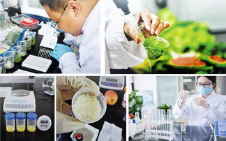 佛山餐飲企業(yè)的自有種植養(yǎng)殖基地 構(gòu)筑食品衛(wèi)生安全新防線