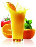 一站式餐飲供應解決方案 東城食品飲料與餐飲配送服務全解析